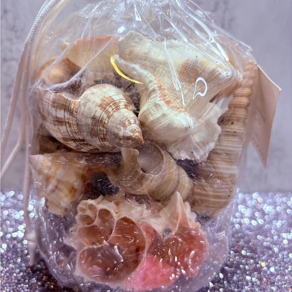 Pottery Barn Seashell Mix in Natural Tan and Cream